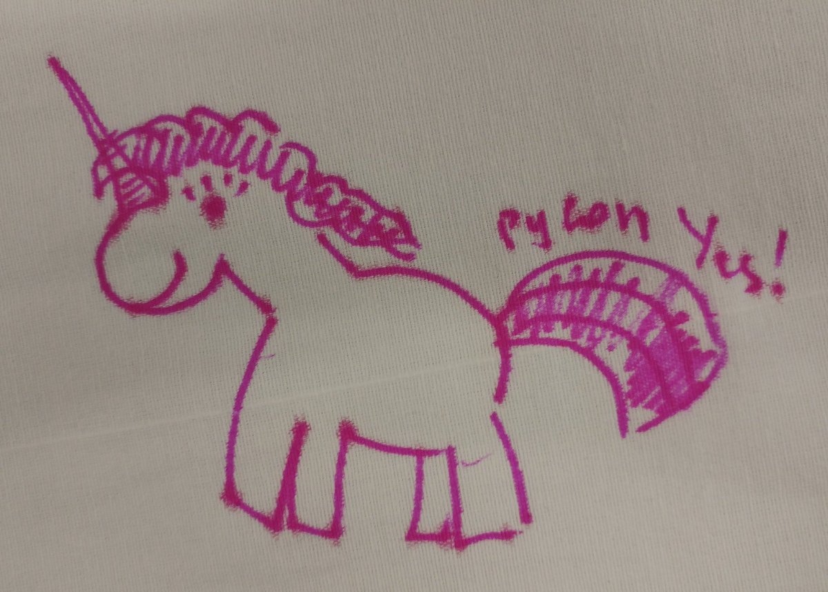 drawing of django pony